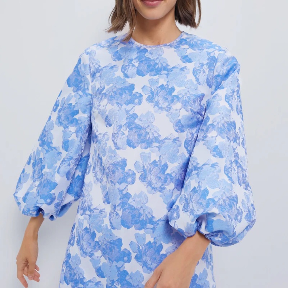 Floral Blue and White Puff Sleeve Dress